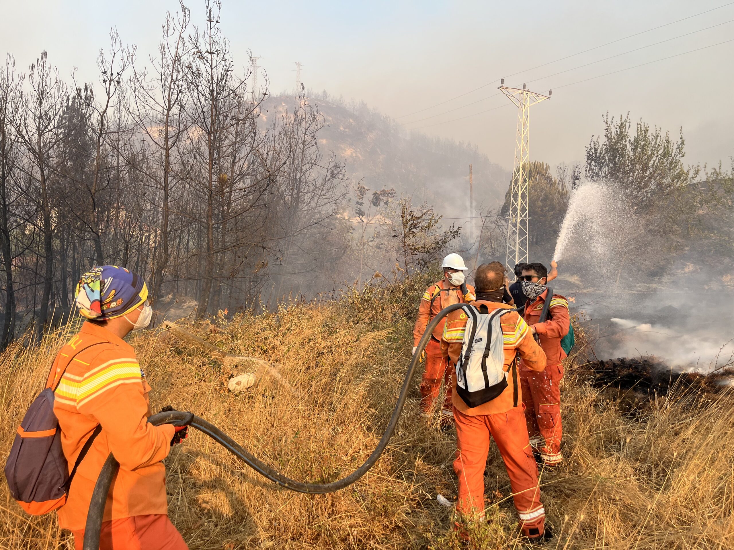 Alevler Sadece Ağaçları, Evleri, Arabaları Değil, Geleceğimizi ve Anılarımızı da Yaktı!